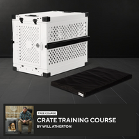 Orthopedic Pad + Crate Course