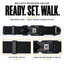 Ballistic Nylon Dog Collar