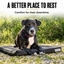 Impact Orthopedic Dog Crate Pad — Lifestyle