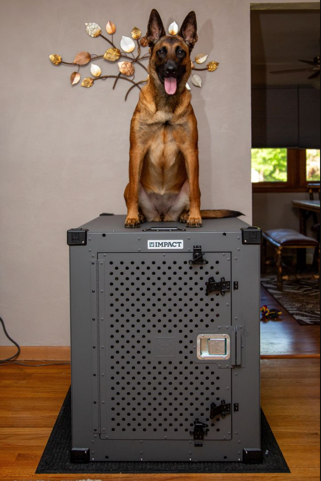 Before: wire crate