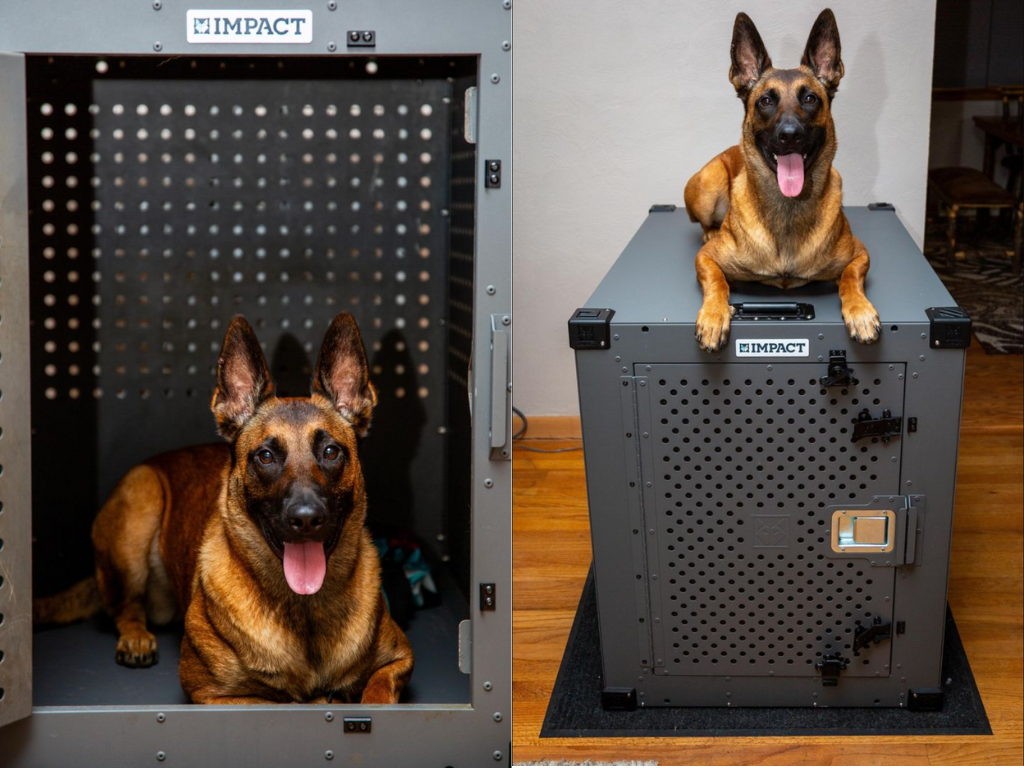 Rescues don't need a crate. They need a room that feels safe.