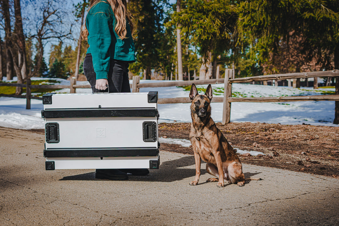 Travel Crate – Impact Dog Crates - Portable Dog Crate For Travel With Wheels And Storage And Comfortable Design