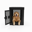 Tarter x Impact Collapsible Dog Crate
