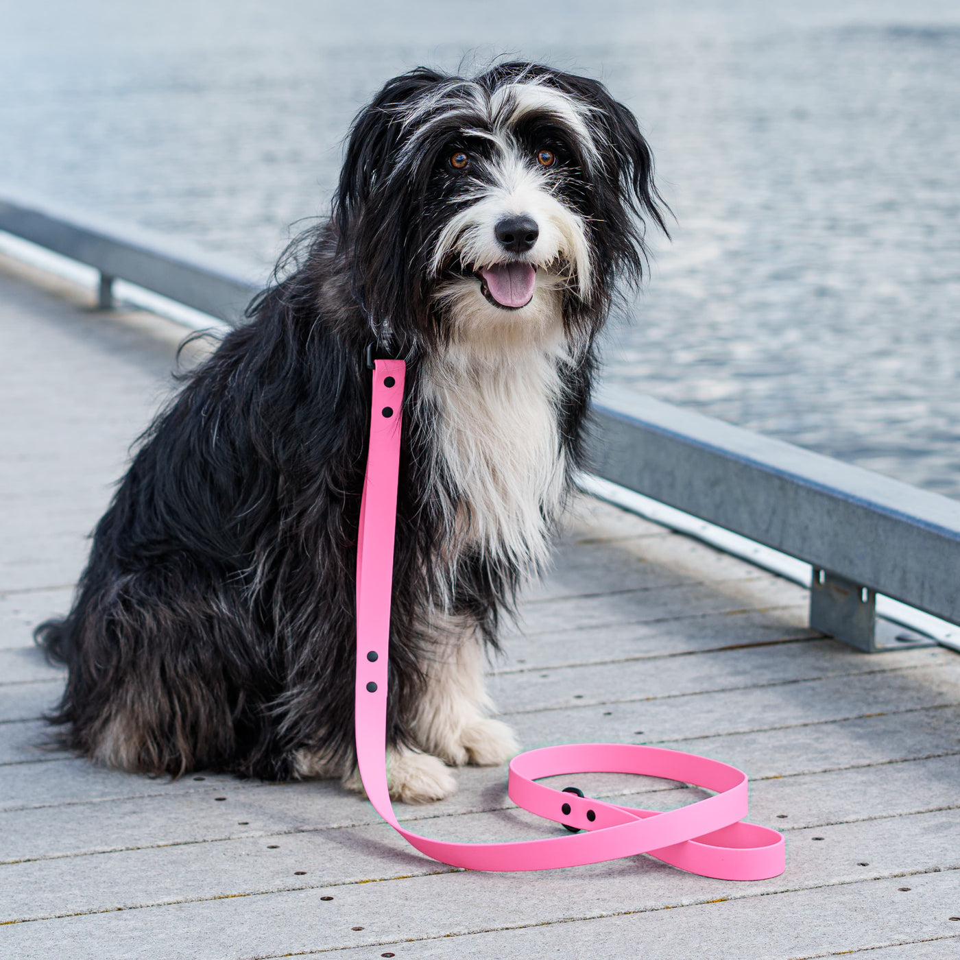 Odor-Free Waterproof Dog Leash