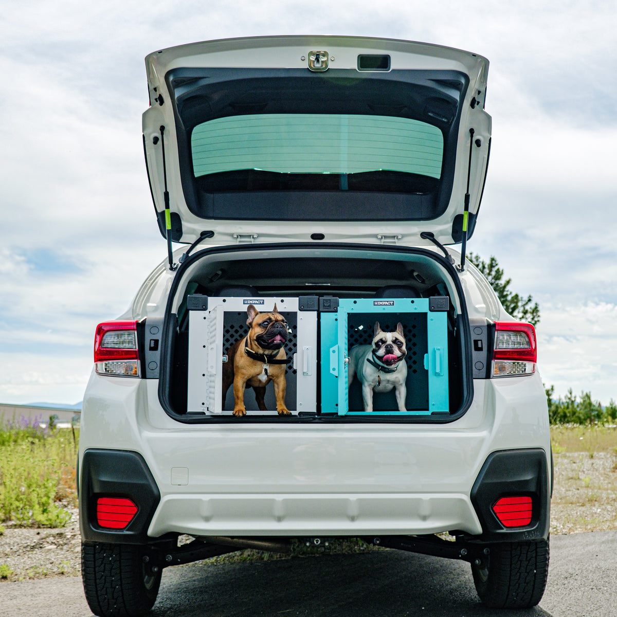2 french bulldogs sitting in the back of a hatchback with the doors open. one is in a white crate and the other is in a teal crate