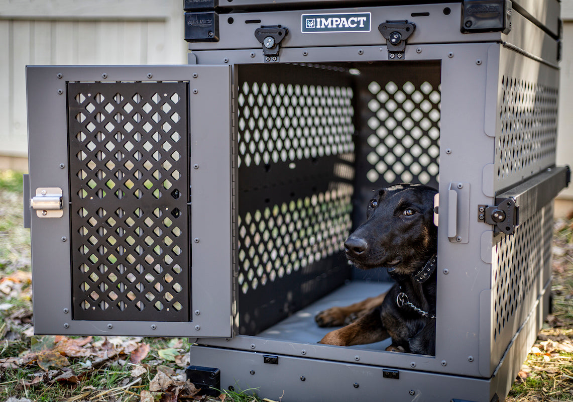 Impact Dog How To Keep Dog From Escaping Crate XL High Anxiety Dog